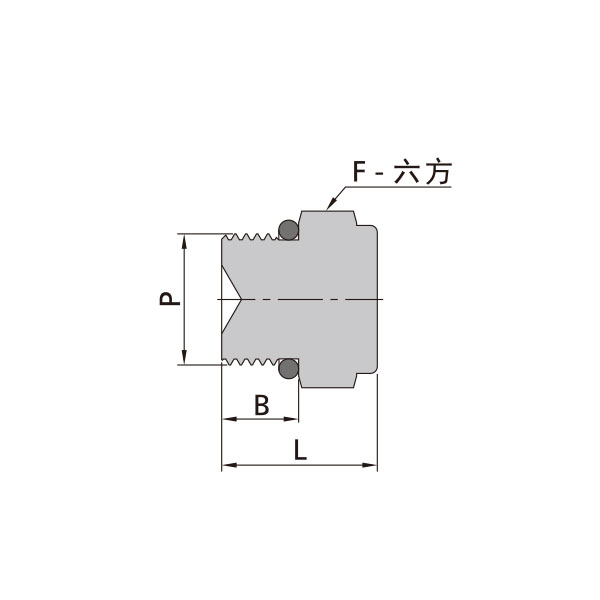 SAE/MS外螺紋堵頭