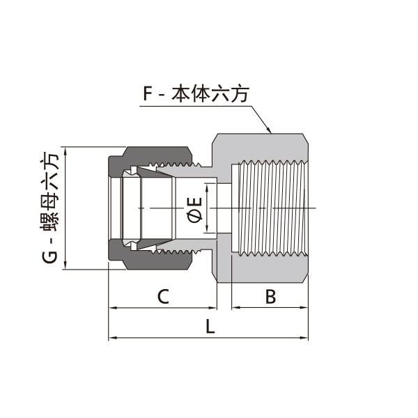 公製卡套轉公製內(nei) 螺紋直通