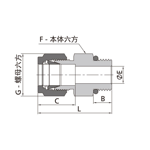 公製卡套轉SAE/MS螺紋直通