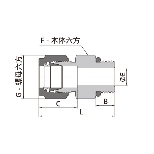 英製卡套轉SAE/MS螺紋直通