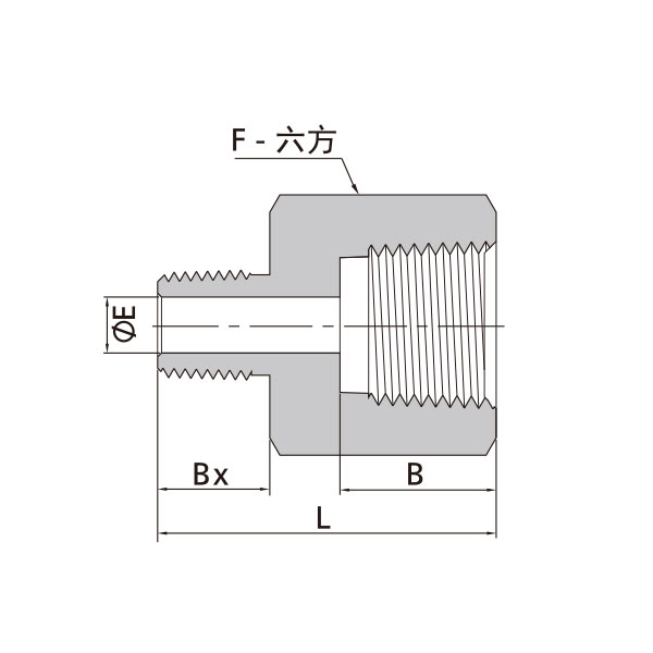 內(nei) 外NPT螺紋直通