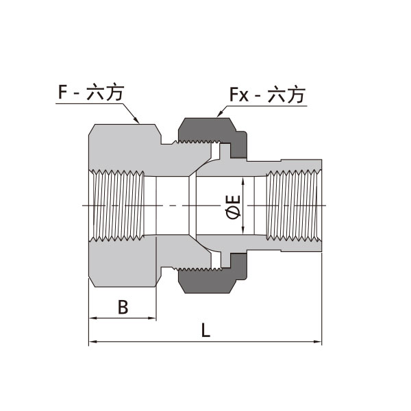 NPT內(nei) 螺紋活接直通