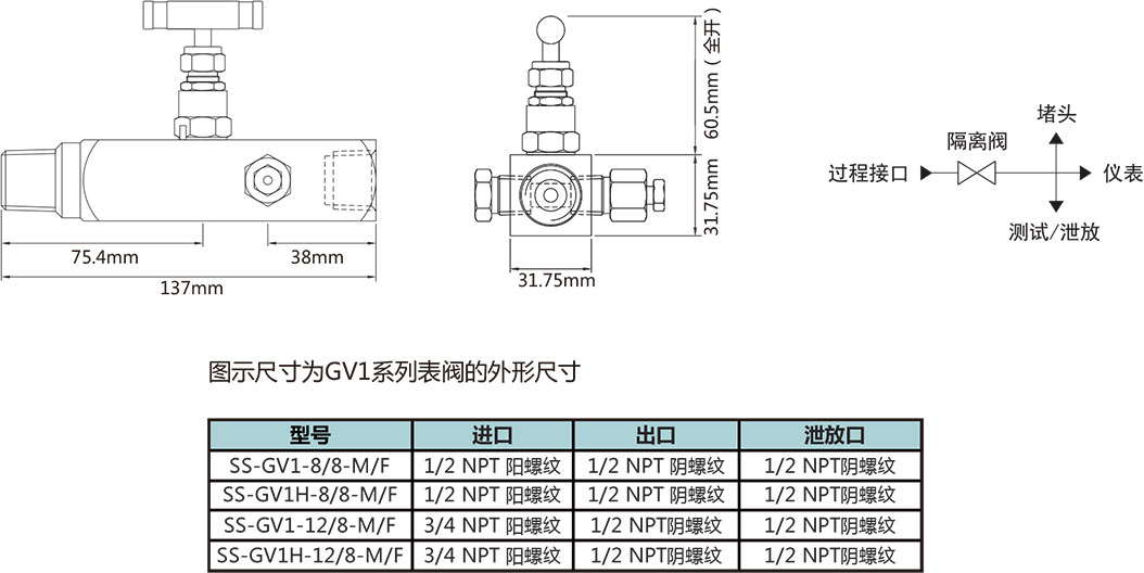 GV1係列壓力表閥型號尺寸規格參數表一