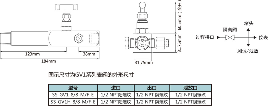 GV1係列壓力表閥型號尺寸規格參數表二
