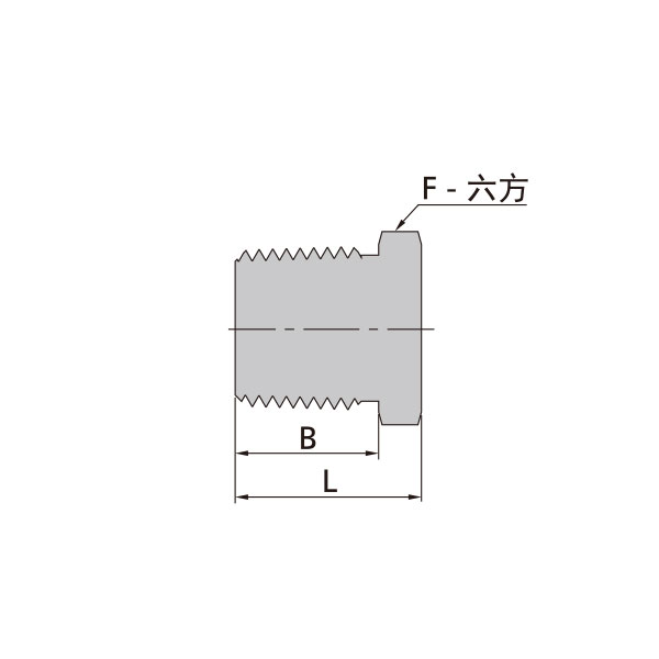 NPT外螺紋堵頭