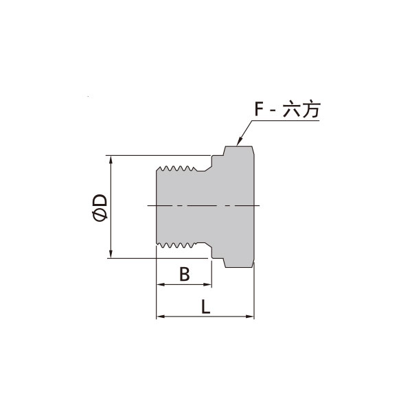 G外螺紋堵頭