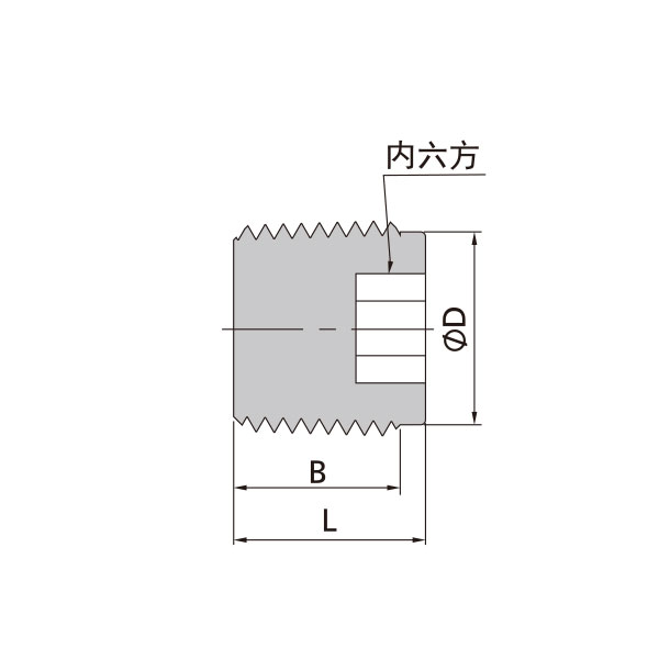 NPT外螺紋內六角堵頭