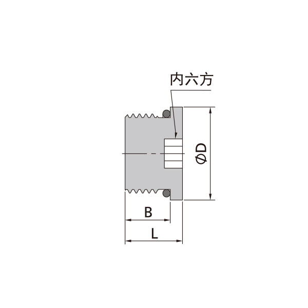 SAE/MS外螺紋內六角堵頭