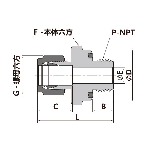 卡套轉NPT外螺紋直通（外螺紋根部O型圈密封）