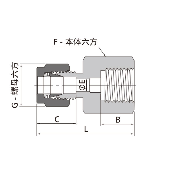 英製卡套轉ISO平行內螺紋直通