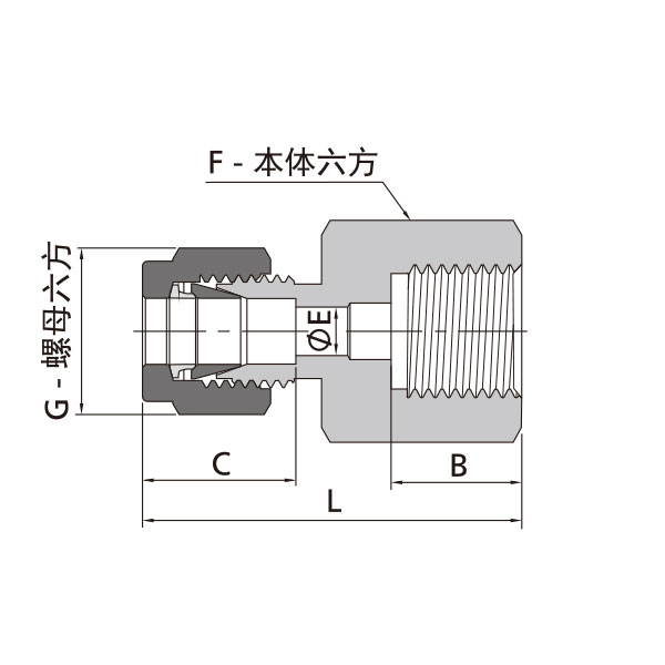 公製卡套轉ISO平行內螺紋直通