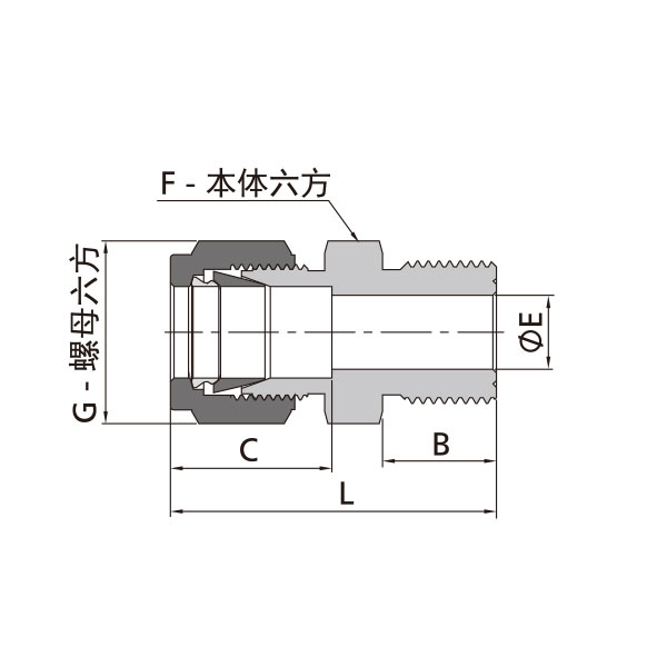 公製卡套轉公製外螺紋直通（外螺紋頂部墊片密封）