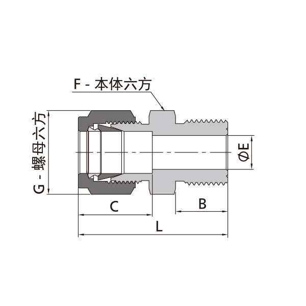 英製卡套轉公製外螺紋直通（外螺紋頂部墊片密封）