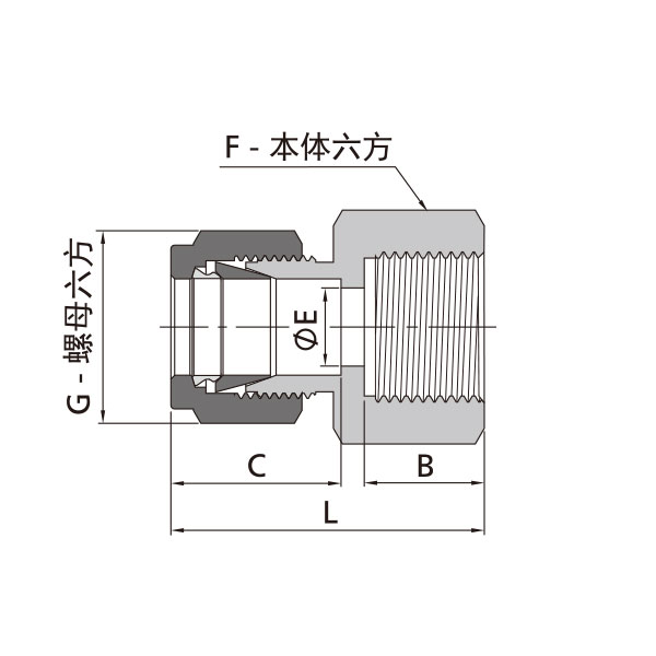 英製卡套轉公製內螺紋直通