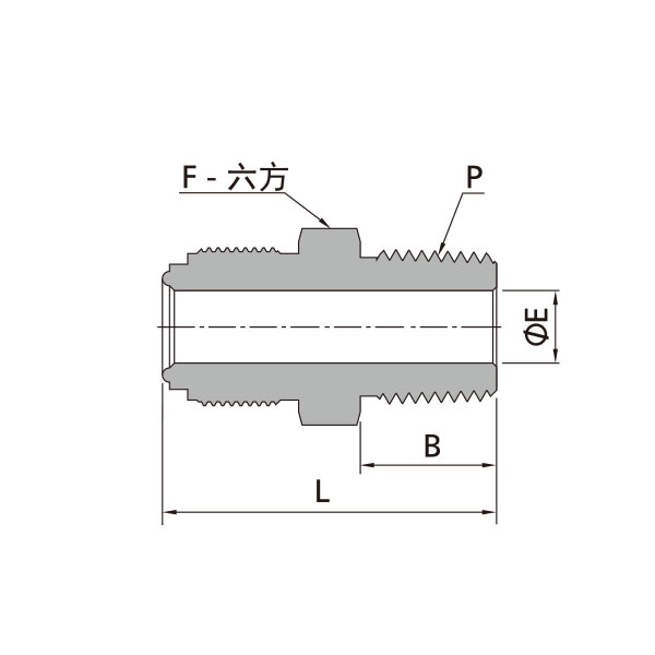 MVCR轉MNPT本體